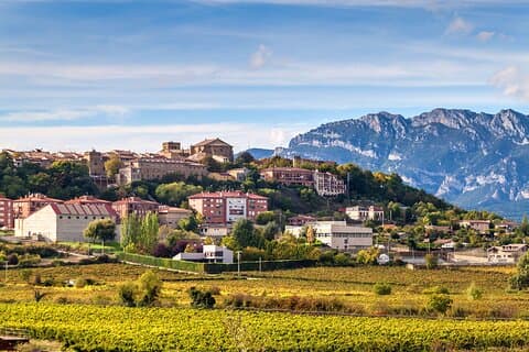 Excursion to Vitoria, La Rioja and winery in Laguardia from Bilbao