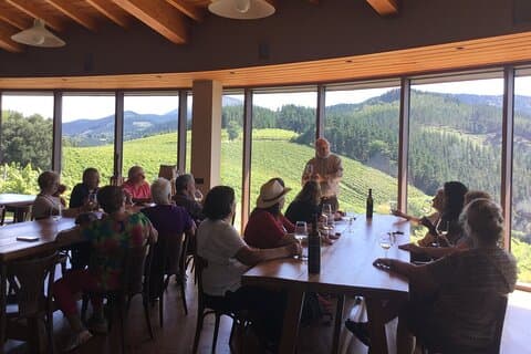 Bilbao: Txakoli and Local Flavors in the Urdaibai Biosphere