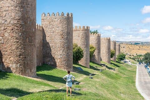 From Madrid: Ávila & Salamanca Guided Tour with Wall & Cathedral
