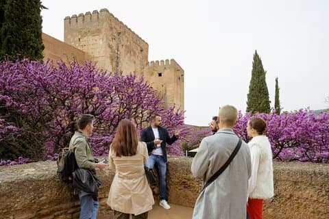 Private Alhambra Tour from Malaga Port