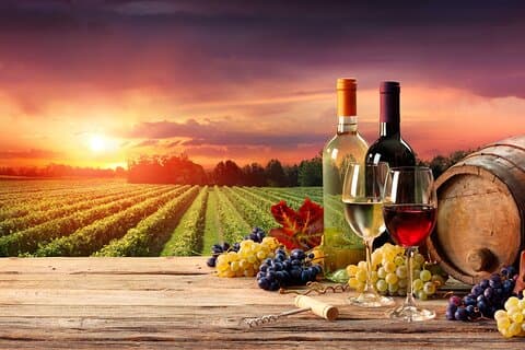 Madrid Wine Tasting Private Tour with Wine Expert