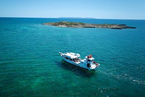 boat is trenc boat