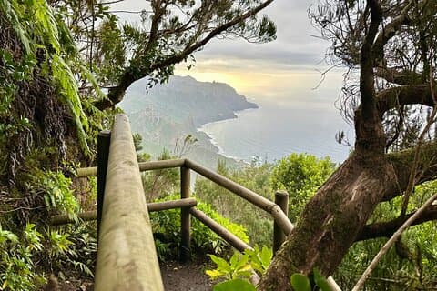 Anaga Enchanted Forest Hiking Tour. El Pijaral.