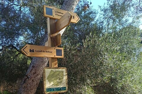 Palma Forest and Old Town E-bike tour and Bellver Castle Hike