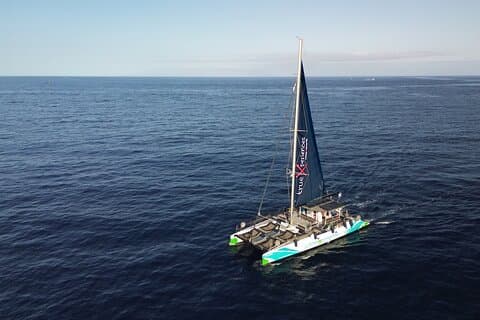 Eco catamarán avistamiento de ballenas en Tenerife