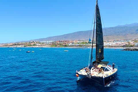 Avistamiento de ballenas en Tenerife. Barco White Tenerife.