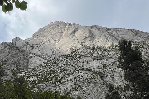 South face