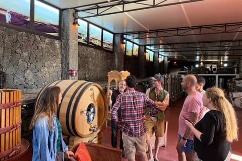 Lanzarote Family Winery: Lava Flow Tour and Wine Tasting
