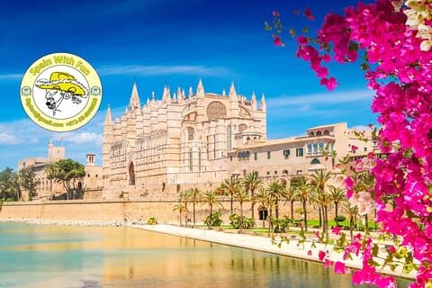 Mallorca Highlights VIP Private Tour