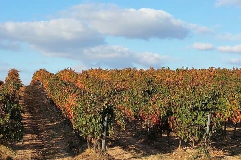 rioja