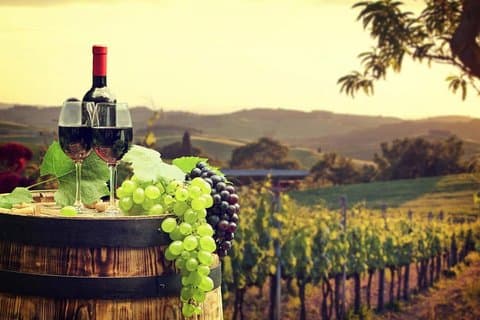Private Ronda winery day trip from Seville