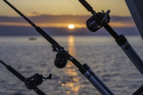 Fishing Adventures in Malaga Capital