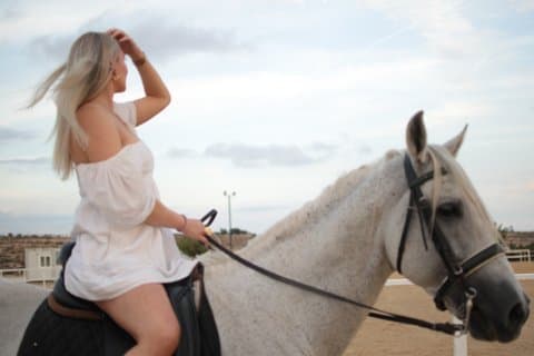 Alicante: Private Horse Ride + Brunch or Wine Tasting + Pick-up
