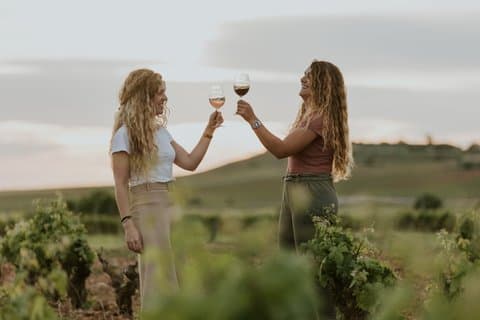 Toast like a local while learning the secrets of traditional Spanish viticulture.