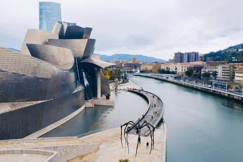 Private Guggenheim Museum Bilbao Tour with Local Guide