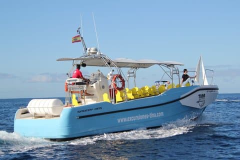 Avistamiento de ballenas desde Playa Santiago La Gomera