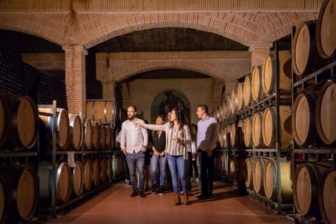 Alicante : Visit to Premium Winery with 7 Tastings, Expert Guide