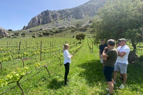 Antequera Classic Winery Tour