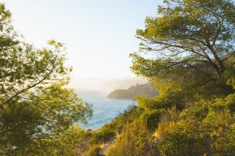 Hiking Tour of the Natural Area of Maro-Cerro Gordo