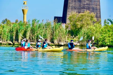 Guided Kayaking Tour of the Ebro Delta Natural Park