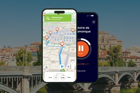 Salamanca Audioguided Walking Tour 1h20 and 21 reviews