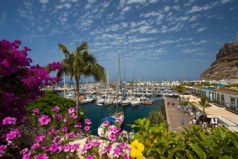 Half Day Puerto de Mogán Friday Market and Shopping Experience