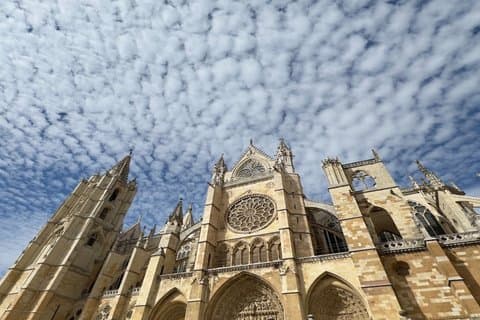Guided tour of the Cathedral of León