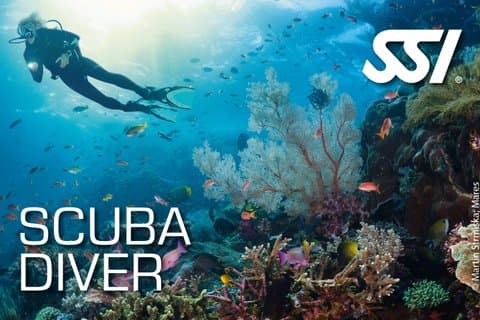 Mallorca: Scuba Diver Course in 1 Day