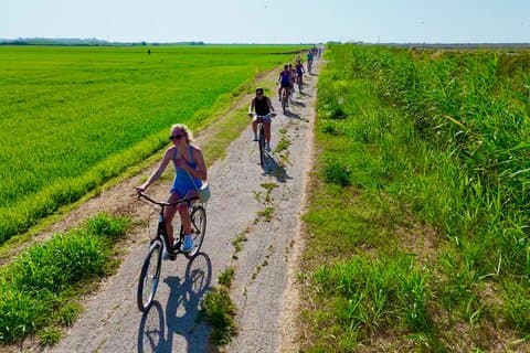 Bike Rental to Explore the Ebro Delta