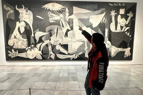 Picasso Experience at Reina Sofía Museum Madrid