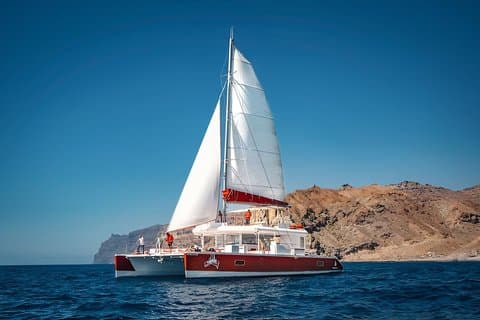 Premium Catamaran Tour from Puerto Rico