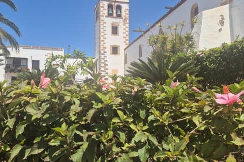 Tour Discover Fuerteventura