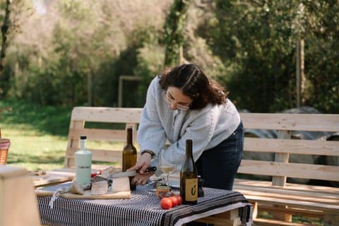 Gourmet picnic and wine tasting among the vineyards in l'Empordà