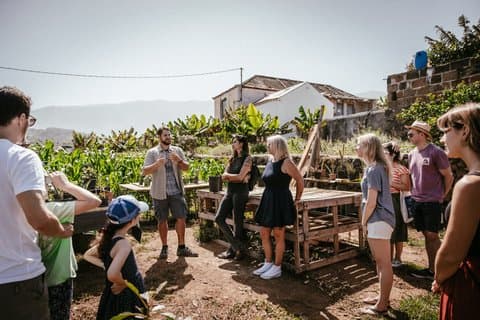 Tenerife's Hidden Oasis Cover: Sustainable Farm Tour