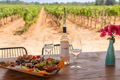 Mallorca Winery tour and tasting of 5 wines with tapas