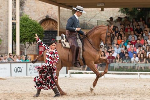 Equestrian Show Royal Stables of Córdoba