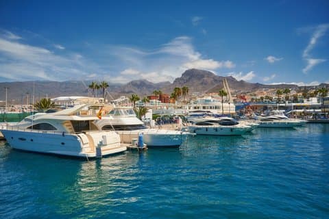 Private Shore Tour: Whale Watching Adventure in Costa Adeje