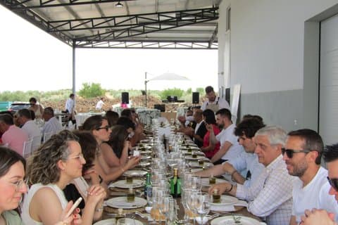 Organic EVOO Tasting Experience in Don Quixote’s Land