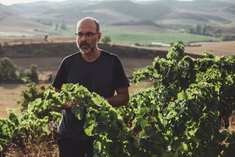 Private Tour of LMT Winery in Pamplona with Wine Tasting