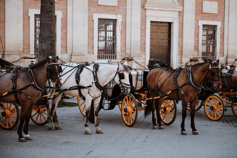 Seville Private Carriage Ride Tour