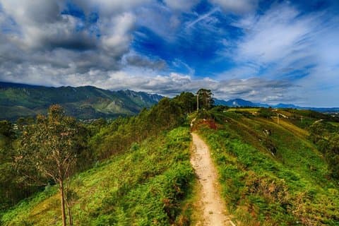 Camino de Santiago Sarria to Santiago 6 to 7 Days Tour