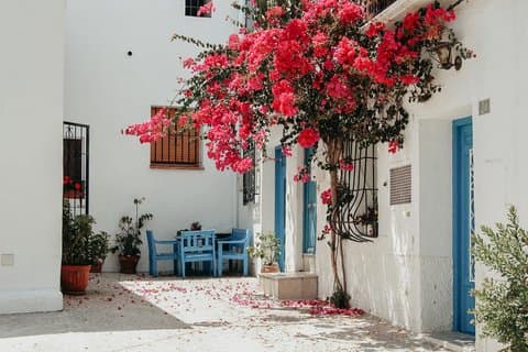 Day trip to Guadalest, Altea and the beach from Valencia