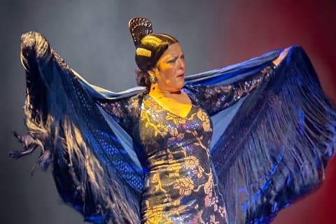 Flamenco Show with Premium Iberian Ham in Seville
