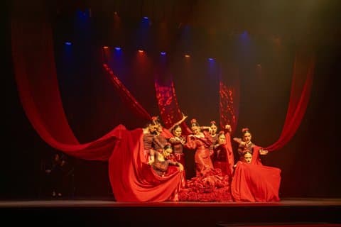 Flamenco Fusion Show with Tapas and Drinks in Salou