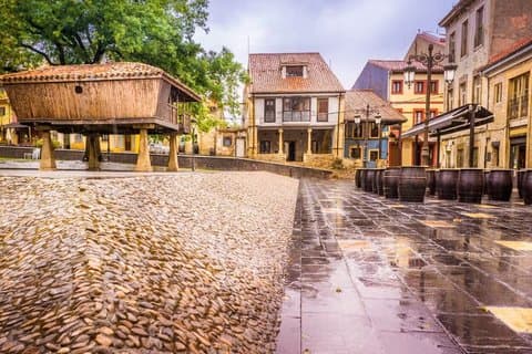 Private Tour of Aviles