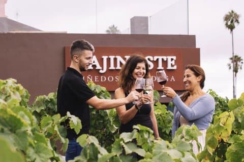 Volcanic Wine Tour: Heritage Vineyards & Tasting at Tenerife