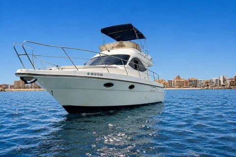 Dolphin Watching on Luxury Yacht with Premium Drink