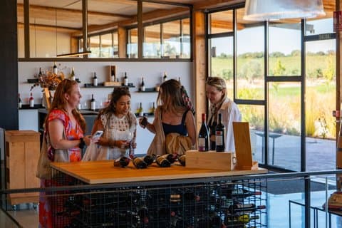 Ribera del Duero Wineries Guided Tour & Wine Tasting from Madrid