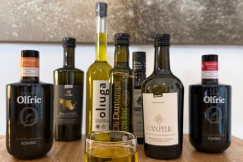 Organic Olive Oil Tasting in Palma de Mallorca