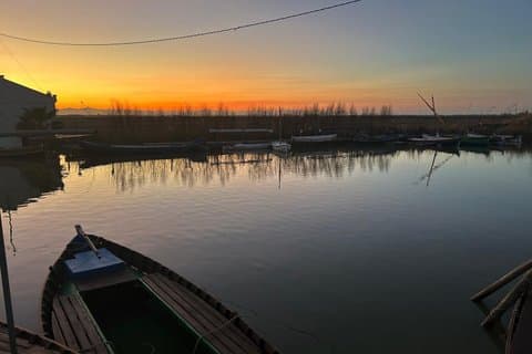 Experience Albufera from Valencia at sunset and boat trip
